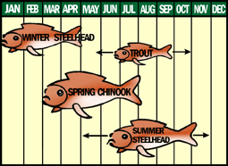 fishing seasons
